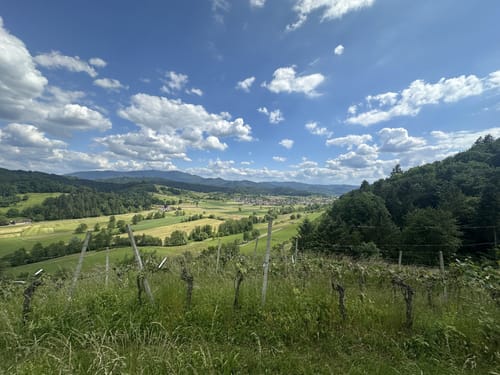 Rund um den Hornwald und die Hochburg