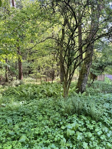 Heidschnuckenweg Etappe 1: Fischbek - Buchholz in der Nordheide