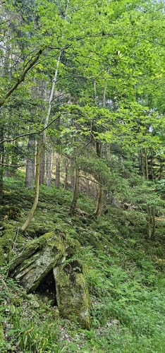 Westweg Etappe 1: Pforzheim - Dobel