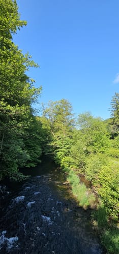 Westweg Etappe 1: Pforzheim - Dobel