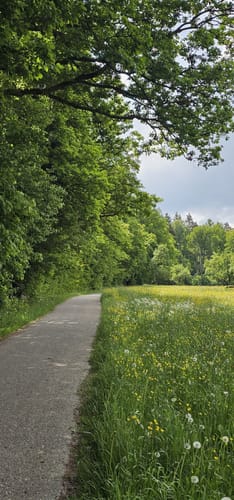 Westweg Etappe 1: Pforzheim - Dobel