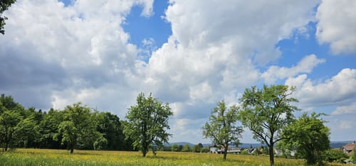 Westweg Etappe 1: Pforzheim - Dobel