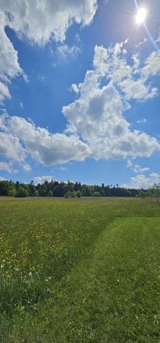 Westweg Etappe 1: Pforzheim - Dobel