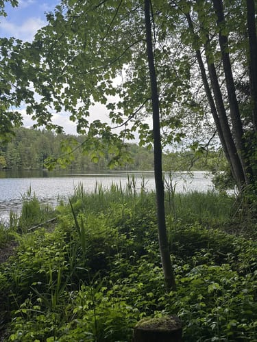 Um den Tüttensee