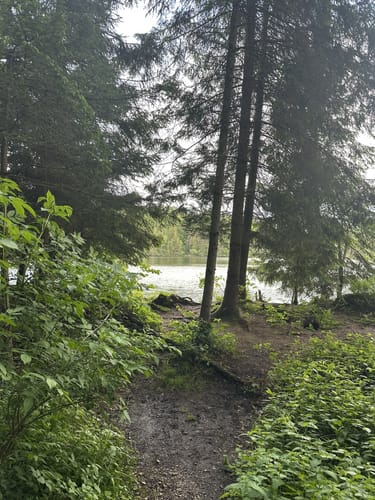 Um den Tüttensee