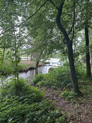Um den Tüttensee