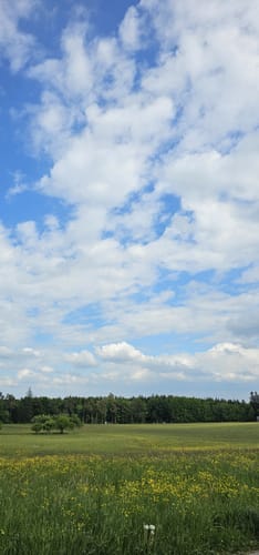 Westweg Etappe 1: Pforzheim - Dobel