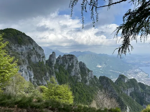 Belvedere parco del Valentino - hikes and trails to get you there