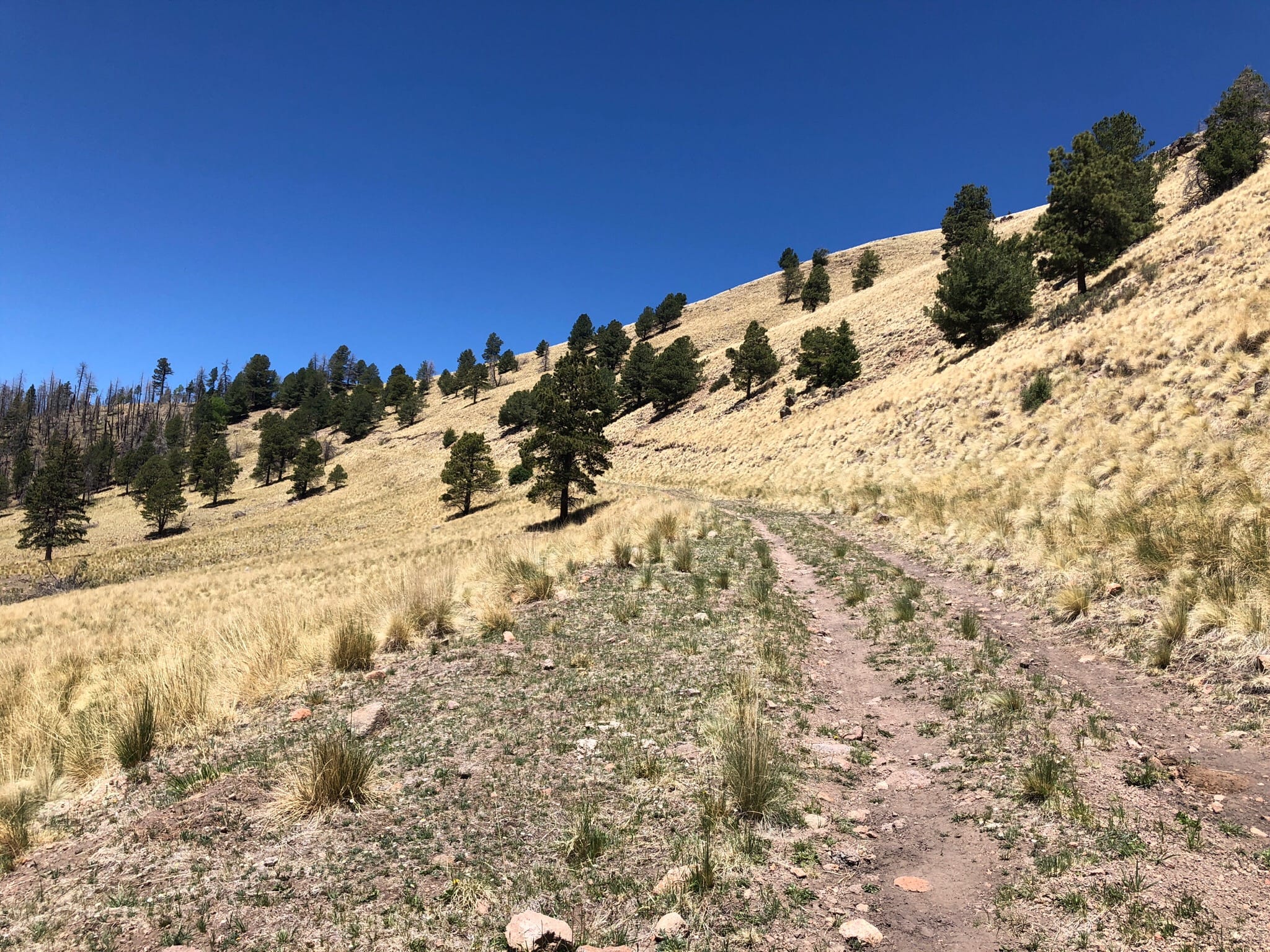 Explore Cerro La Garita AllTrails