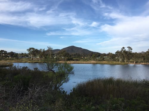 Lake Murray Hiking Trails Lake Murray Trail | Map, Guide - California | Alltrails