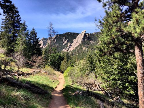 Enchanted Mesa and McClintock Nature Trails | Map, Guide - Colorado | AllTrails