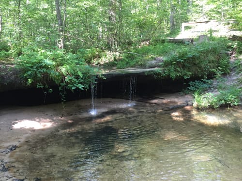 Pickle Springs Trail Map Pickle Springs Natural Area Map Guide Missouri Alltrails