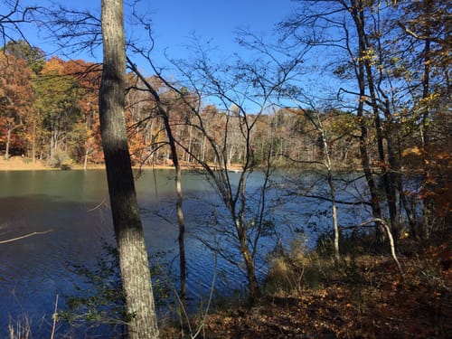 Latta Plantation Trail Map Latta Plantation Trail Map Guide North Carolina Alltrails