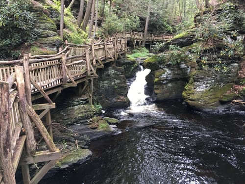 Map Of Bushkill Falls Bushkill Falls Red And Blue Trail | Map, Guide - Pennsylvania | Alltrails