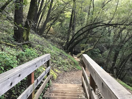 Villa Montalvo Hiking Trails Villa Montalvo Lookout Point, South Orchard, Creek Trail Loop | Map, Guide  - California | Alltrails