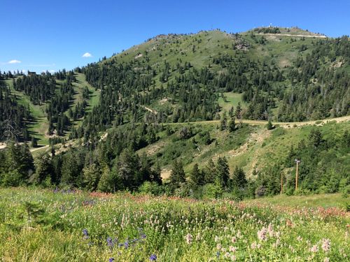 Bogus Basin Hiking Trails Bogus Basin Loop Trail | Map, Guide - Idaho | Alltrails