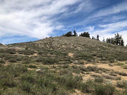 Mt Pinos Hiking Trail Mount Pinos Trail | Map, Guide - California | Alltrails
