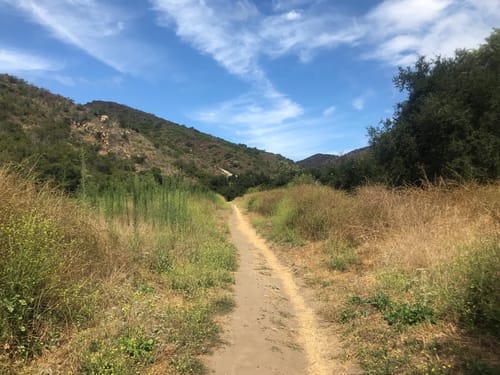 Laurel Canyon Hiking Trail Laurel Canyon, Laurel Spur, Willow Trail Loop | Map, Guide - California |  Alltrails