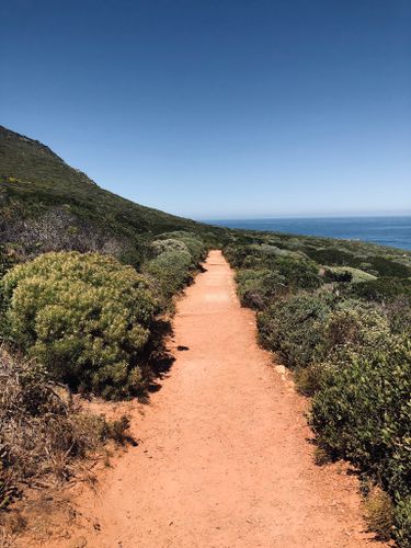have mistaken wrench Discomfort Cape of Good Hope Trail | Map, Guide - Western Cape, South Africa |  AllTrails