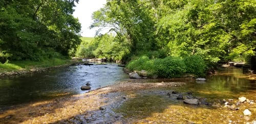 Tanyard Creek Nature Trail Map Tanyard Loop Map Guide Arkansas Alltrails