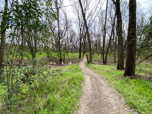 Rowlett Creek Preserve Trail Map Rowlett Creek Dorba Trail | Map, Guide - Texas | Alltrails