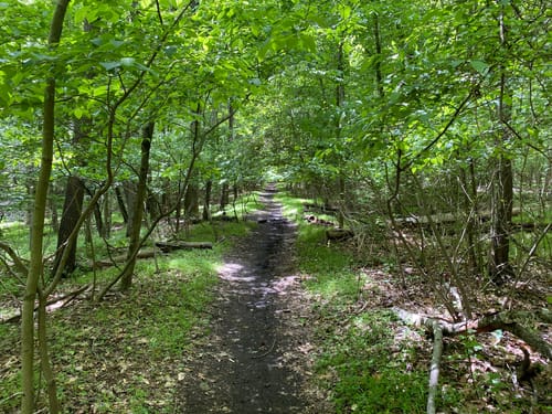 Staten Island Hiking Trails Staten Island Greenbelt Trail | Map, Guide - New York | Alltrails