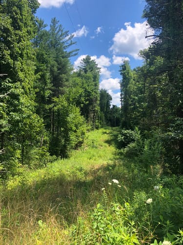 Wildcat Hollow Hiking Trail Wildcat Hollow Trail: Short Loop | Map, Guide - Ohio | Alltrails