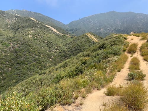 Veterans Park Hiking Trail Veterans Park May Canyon Ridge Loop | Map, Guide - California | Alltrails