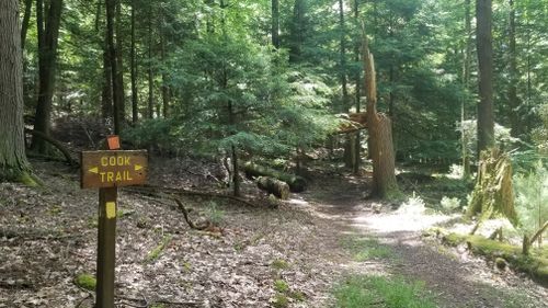 Cook Forest Hiking Trails Cook Trail | Map, Guide - Pennsylvania | Alltrails