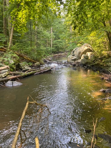 Hacklebarney State Park Trail Map Hacklebarney Loop Trail Map Guide New Jersey Alltrails