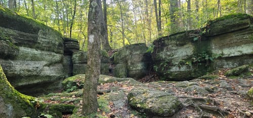 Nelson Ledges Trail Map Nelson S Ledges Trail Map Guide Ohio Alltrails