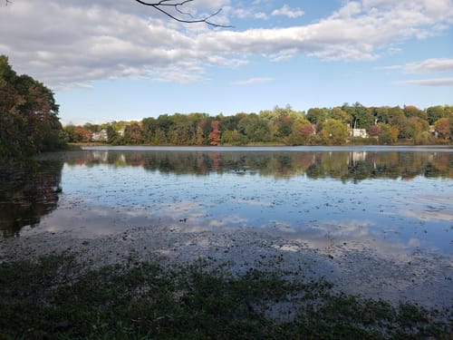 Arlington Reservoir Trail | Map, Guide - Massachusetts | AllTrails