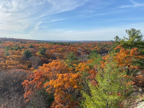 Blue Hills Skyline Trail Map Blue Hills Skyline Trail | Map, Guide - Massachusetts | Alltrails