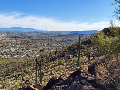 Tumamoc Hill Hiking Trail Tumamoc Hill | Map, Guide - Arizona | Alltrails