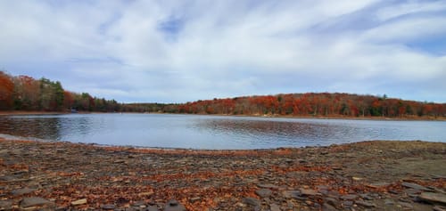 Shuman Point Hiking Trail Shuman Point Blue Trail | Map, Guide - Pennsylvania | Alltrails