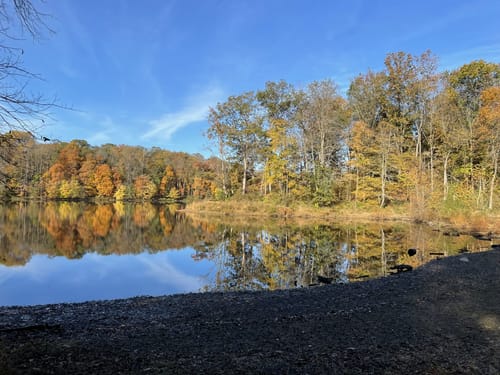Lake Needwood Trail Map Needwood Trail Map Guide Maryland Alltrails