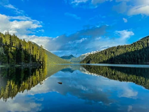 Cheakamus Lake Trail | Map, Guide - British Columbia, Canada | AllTrails