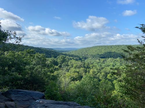 Best 10 Trails in Selden Neck State Park | AllTrails